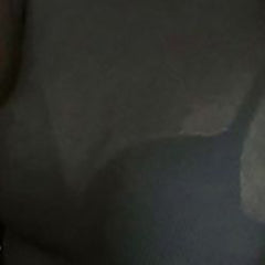 2023 Pydshop Forefair Spring Women T Shirts Vintage Fashion Edible Tree Fungus Y2k See Through White Casual Long Sleeve Top Ladies