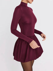 Burgundy Turtleneck Mini Dress