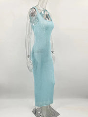 Sequin Slim Scoop Neck Maxi Dress