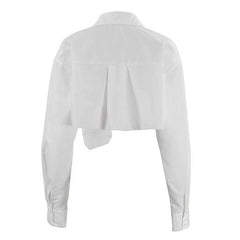 Long Sleeve Pointed Collar Cropped Shirt - White