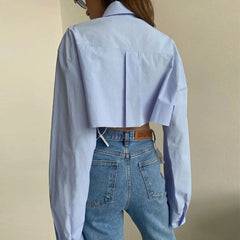 Long Sleeve Pointed Collar Cropped Shirt - Baby Blue