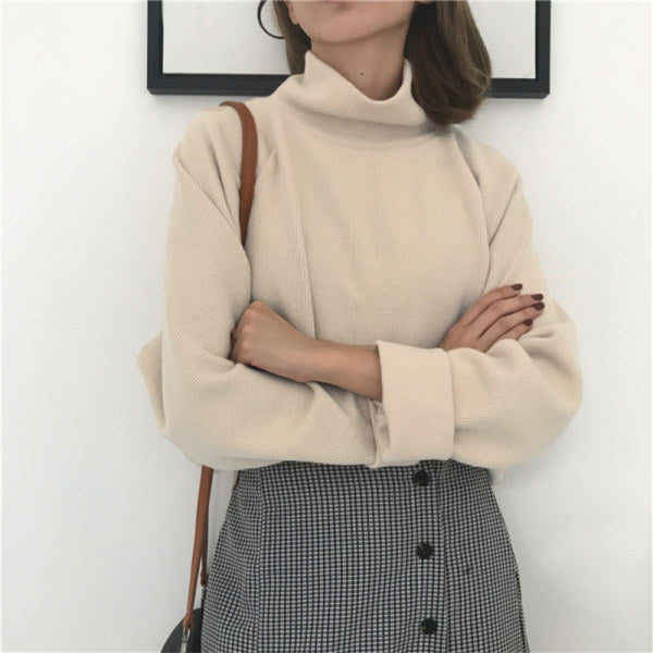 Pydshop clothes 2024 Autumn and Winter De Velvet Fabric Basic Loose Long-Sleeved T-shirt Women's Raglan Sleeve Top Bottoming Shirt