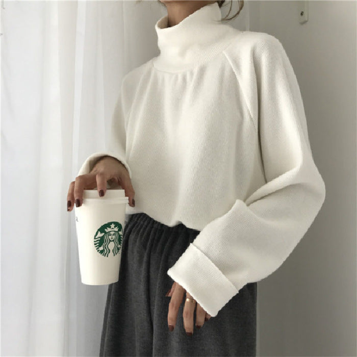 Pydshop clothes 2024 Autumn and Winter De Velvet Fabric Basic Loose Long-Sleeved T-shirt Women's Raglan Sleeve Top Bottoming Shirt
