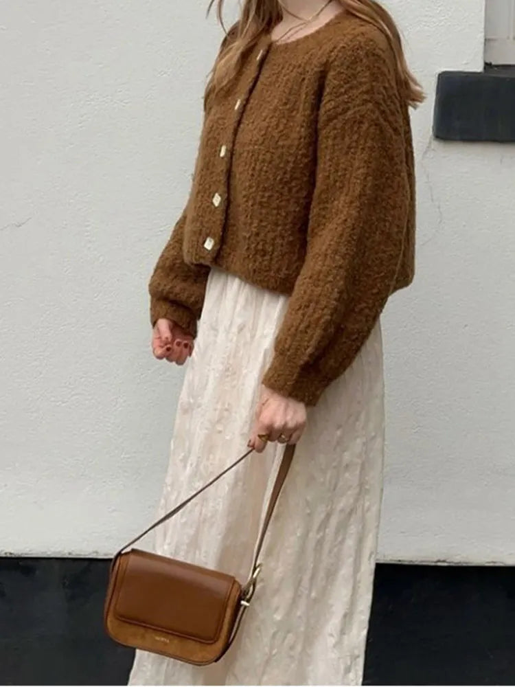 Pydshop Fashion Reddish Brown Warm Cardigan Sweater For Early Autumn 2024 Women Short Style New Winter High Street Loose Versatile Top