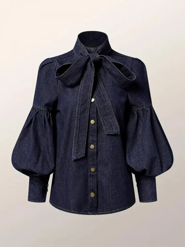 Pydshop Denim Puff Sleeve High Neck Top