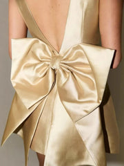 Backless Bow Mini Dress