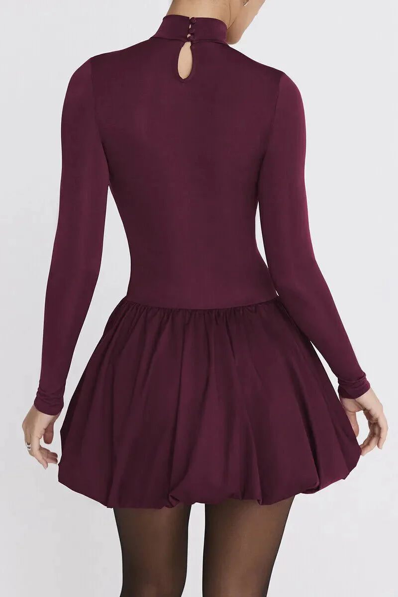 Burgundy Turtleneck Mini Dress