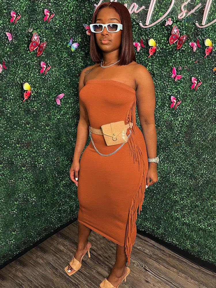 Tassels Bodycon Midi Dresses