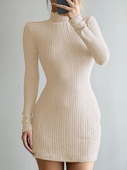 High Neck Long Sleeve Mini Dresses