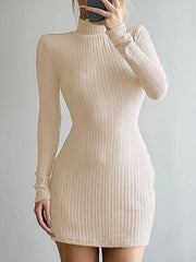 High Neck Long Sleeve Mini Dresses